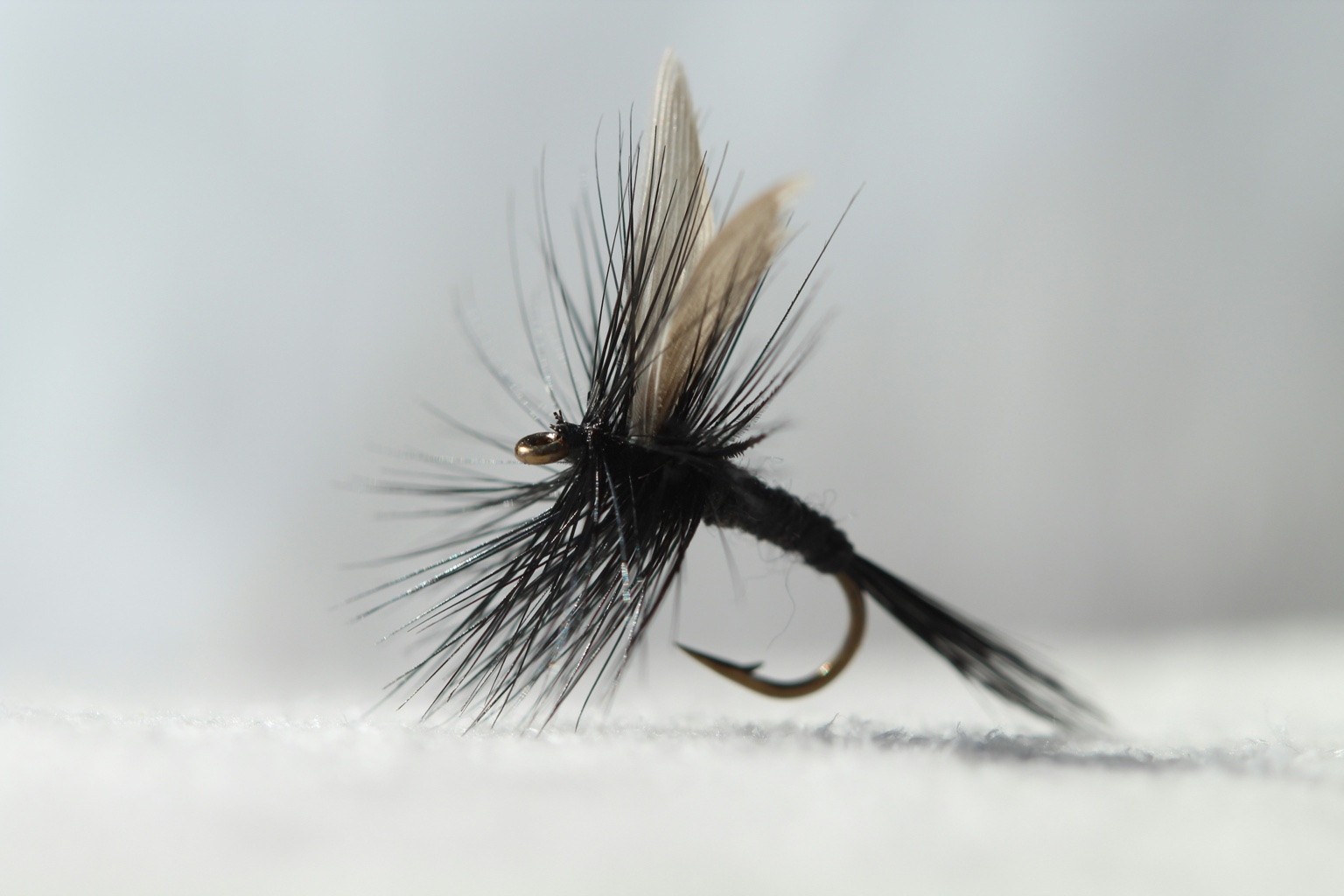 The Art of Dry Fly Presentation