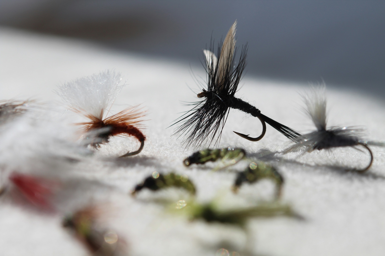 Assorted fly collection showcasing craftsmanship