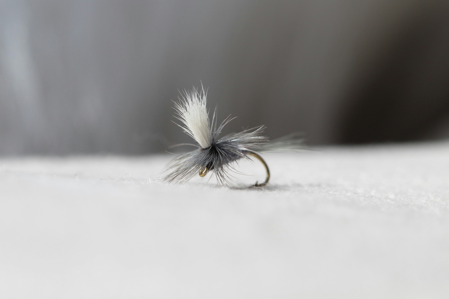 Building Your First Fly Box